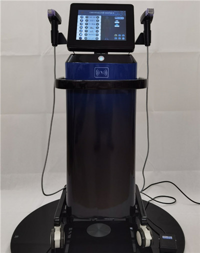 Fractional RF microneedle machine BL-T16