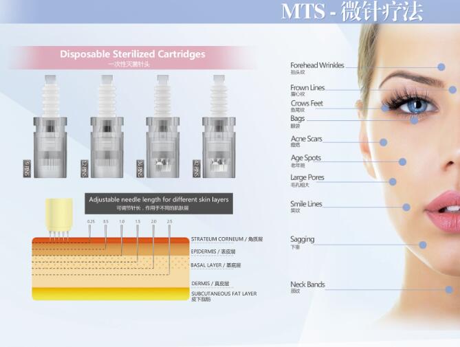 derma pen (2)