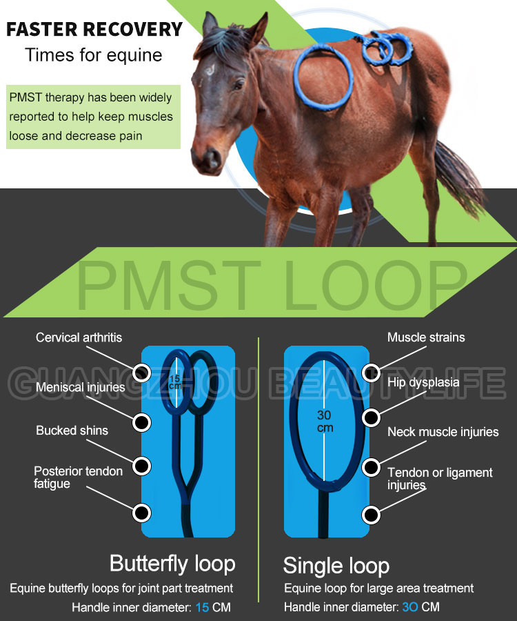 pmst loop horse