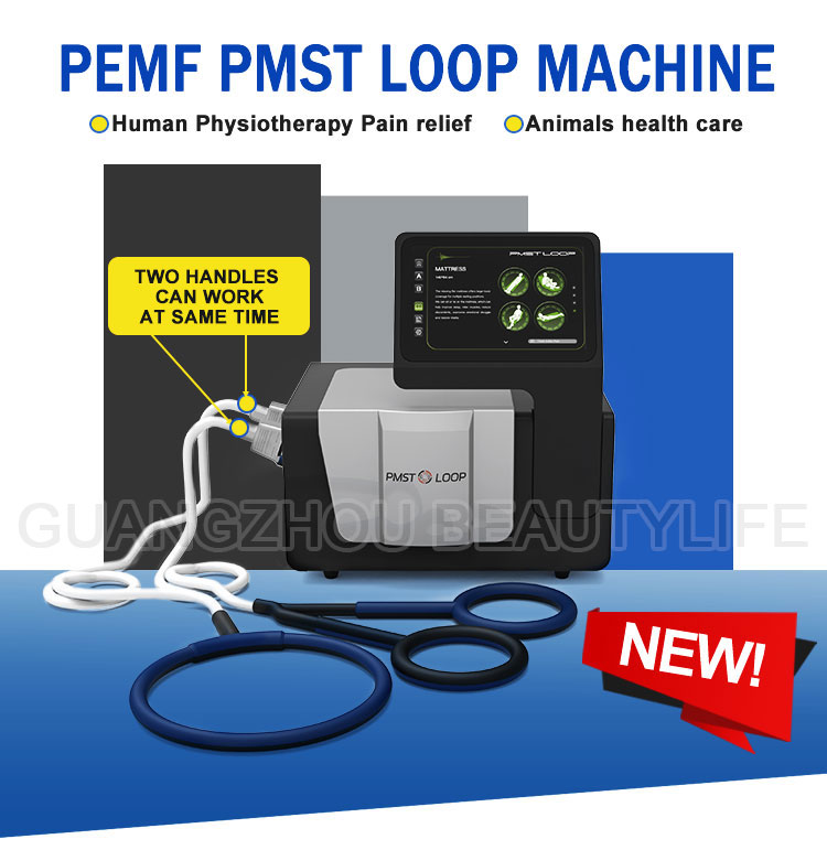 pmst loop 