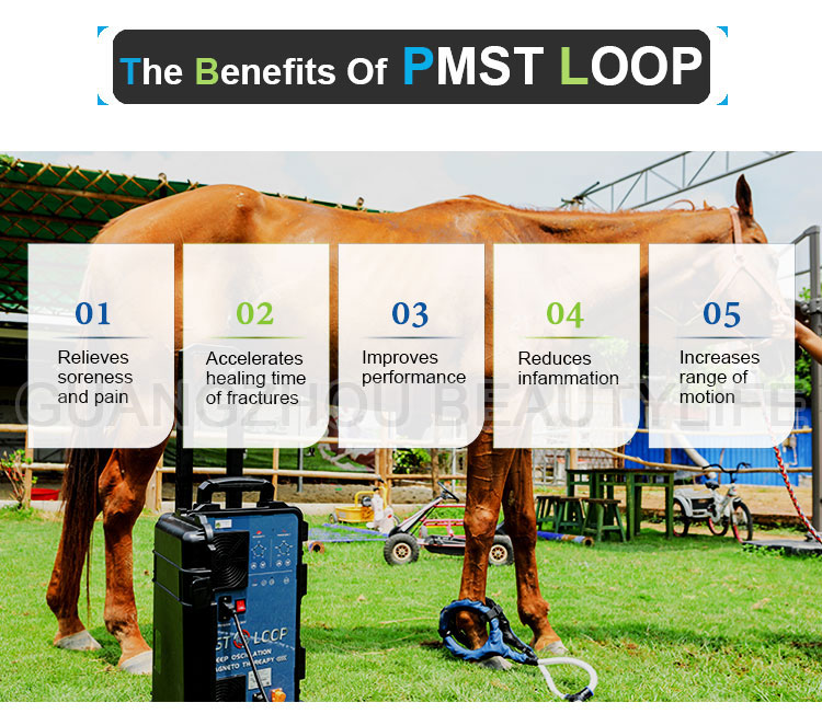 pmst loop equine