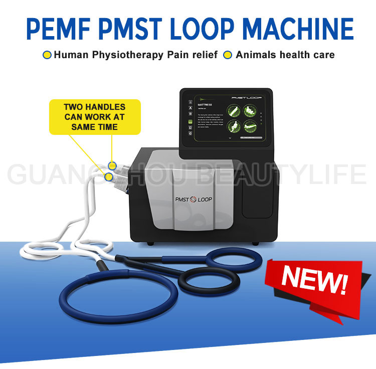 Pemf mat pmst loop therapy equipment with 2 channels PMST MAX