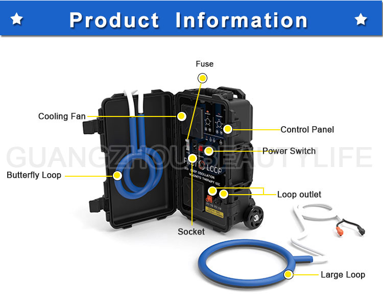 physio magneto therapy