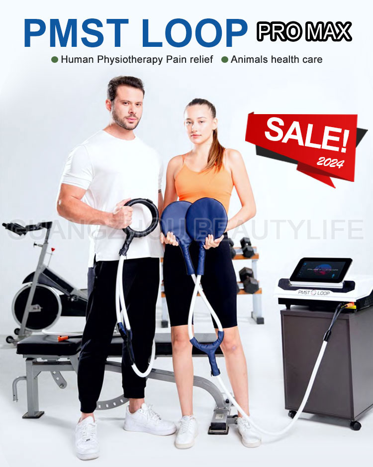 2 in 1 pemf mat pmst loop therapy machine for human and animals PMST PRO