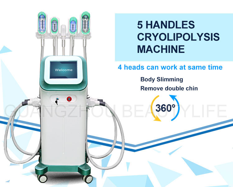 360 cryolipolysis