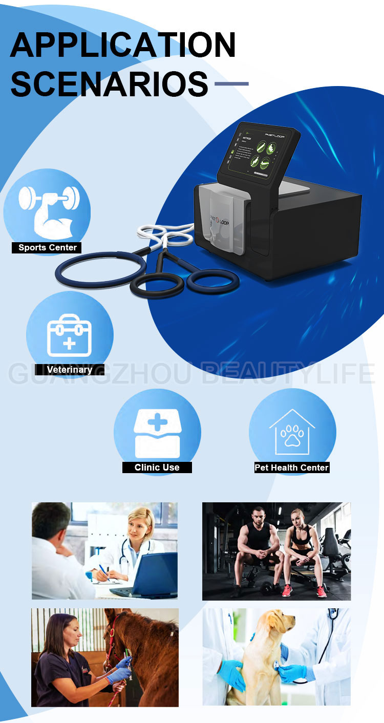 pemf magnetic therapy