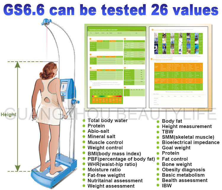 body fat analyzer GS6.6